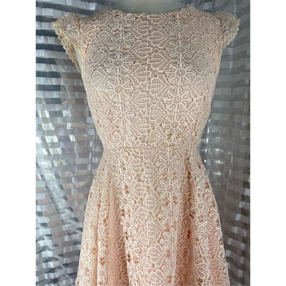 Ellison Blush Pink Crochet Overlay Mini Dress - Picture 2 of 6